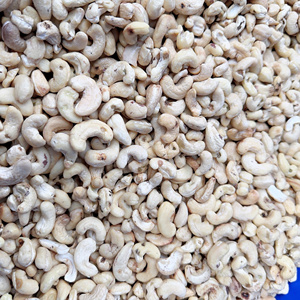 Cheap Bulk Ready To Ship Raw Cashew Nuts Kaju Ww210, Ww240 Organic Cashew Nut Packaging Box Low Moq - Product Image 1