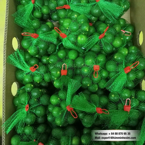 Calamansi frais de qualité supérieure du Vietnam pour les marchés mondiaux, les acheteurs en gros et l'approvisionnement fiable en vrac pour l'exportation - Product Image 6