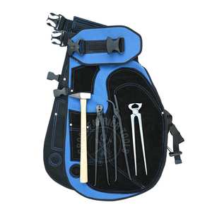 Ensemble d'équipement de fermeur pour sablage de chevaux, avec outils de pose et de clouage de sabots, coupe-ongles à sabots, marteau à clous noir et outil de dépose de sabots - Product Image 1