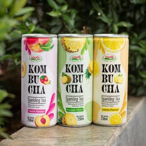 Boissons Kombucha de la meilleure qualité, thé pétillant minceur fermenté, canette de 250 ml, fabricant de boissons OEM/ODM de haute qualité, échantillon gratuit - Product Image 2