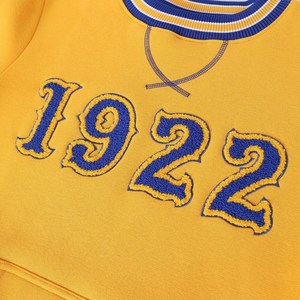 Sweat-shirt en chenille Sigma Gamma Rho 1922 pour femme, col rond, poche raglan, couleur or et bleu, pull de sororité - Product Image 4