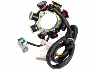 Conjunto de placa de bobina de estator Honda Eterno, calidad de exportación, repuestos para motocicletas, India, Orado - Product Image 6