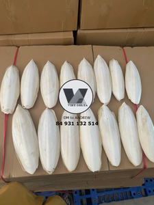กระดูกปลาหมึกแห้งขายส่ง – อาหารเสริมแคลเซียมจากธรรมชาติ - Product Image 4