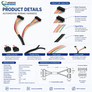 Harnais de câblage automobile sur mesure, conforme ROHS et REACH, isolation PVC/PTFE, indice de protection IP66, pour applications électroniques automobiles - Product Image 3