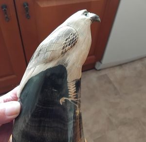 Cuerno Tradicional Diseñado para Decoración Cultural y Patrimonial, Pieza Decorativa de Cuerno Natural Pulido por Perfect Enterprises - Product Image 2