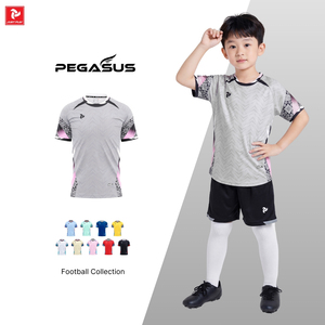 เสื้อฟุตบอลสั่งทำพิเศษ แห้งเร็ว ระบายอากาศได้ดี สำหรับผู้ชาย ผู้หญิง เด็ก ชุดทีม OEM ODM หลายสี ลายเพกาซัส - Product Image 5