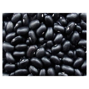 Haricots Noirs en Gros, Haricots Noirs Foncés d'Exportation, Haricots Noirs de Haute Qualité, Petits Haricots Noirs Foncés - Product Image 5