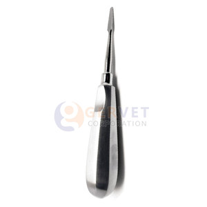 เครื่องมือถอนฟัน Gervet Pakistan ยี่ห้อ Cogswell A รุ่น Root Elevator ขนาด 6.25 นิ้ว ปลายตรง 4 มม. ผลิตจากเหล็กกล้าไร้สนิมเยอรมัน - Product Image 3