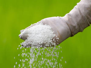 Fertilizante de Nitrógeno Ureico en Perlas de Liberación Rápida, Gránulos Blancos para Uso Agrícola - Product Image 1