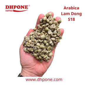 เมล็ดกาแฟเขียวคุณภาพสูง เกรด 1 AA คัดพิเศษ สดใหม่ คั่วแบบ 18 สกรีน อาราบิก้า เวียดนาม ส่งออกเชิงพาณิชย์ บรรจุ 60 กก. - Product Image 1