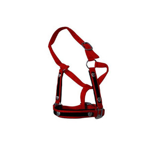 Premium leather horse halter Nylon horse halters for <b>equestrian</b> <b>Equestrian</b> premium leather halter - Product Image 2