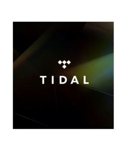 เพลงคลื่นระดับพรีเมียม12เดือนการสมัครใช้งานคลื่น Tidal HIFI PLUS 1ปี - Product Image 2