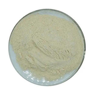 Enzyme protéase alcaline de qualité alimentaire pour l'industrie alimentaire, poudre à haute activité, exportateur mondial, prix compétitif - Product Image 4