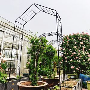 Arco da Giardino in Metallo Nero con Dimensioni L56.3 x L16.93 x H94.5 per Supporto Piante Rampicanti, Pergola Esterna per Rose, Gazebo, Padiglione - Product Image 6