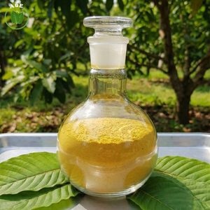 Extracto de Hoja de Mit 80% Herbal Tailandés AuE de la Mejor Calidad, en Polvo, Extraído con Solvente, Grado Farmacéutico, Envasado al Vacío - Product Image 3
