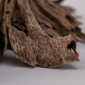 Oud Wood for Bakhoor Burning - Product Image 1