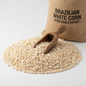 Maíz Blanco Brasileño, Harina de Maíz, Producción de Polenta, Grano de Maíz Blanco, Suministro a Granel, Grado de Exportación para la Industria Alimentaria, Maíz Seco - Product Image 6