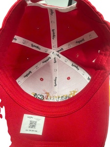 Casquette de golf 6 panneaux 100 % coton tendance, design trucker imperméable, logo brodé 3D personnalisé, casquettes de baseball formelles OEM/ODM - Product Image 2