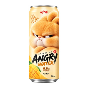 Rita Bebida de Agua de Mango con Gas en Lata de 330ml, Bebida Carbonatada, Proveedor Mayorista de Bebidas, Fábrica OEM ODM, Marca Privada - Product Image 1