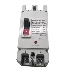 Circuit breaker MCCB GTM1-250L/2300 250A 2P high quality product hot in hot sales silver point wholesale price
