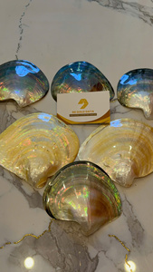 Elegant Oval Mother of Pearl Charger Plate with Plant Pattern for Modern Wedding and Event <b>Table</b> Setting - Product Image 6