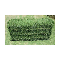 Foin d'alfalfa de qualité / granulés d'alfalfa / cubes d'alfalfa déshydratés / foin de timothée