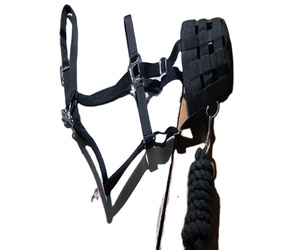 Muselière de cheval de selle anglaise réglable robuste-Meilleure qualité Nylon Personnalisable Dressage Utilisation Équipement équestre Laiton massif - Product Image 1