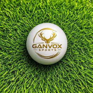 GANVOX <b>Cricket</b> Ball <b>White</b> Gold Logo Match Grade Durable Leather Outdoor Professional Training Sports Equipment - Product Image 5