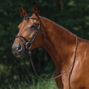Bridon en cuir personnalisé, style selle anglaise traditionnelle, design durable et élégant, bridon d'équitation personnalisé OEM - Product Image 1