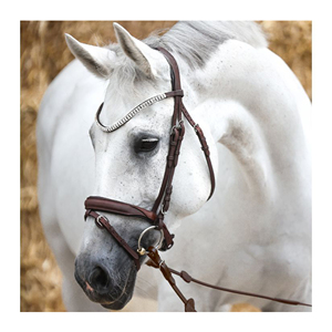 Custom Logo Premium Breathable Oiled Leather Durable Sweat Absorbent Everness Bridle Crystals Browband Adjustable Horse Racing - Product Image 1