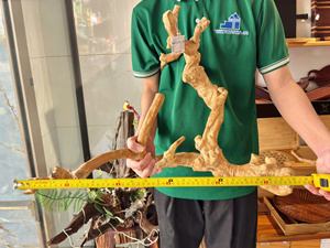 ที่นั่งนกไม้จาวา ที่ยืนเล่นสำหรับนก ที่ยืนต้นไม้สำหรับนกแก้ว ของเล่นนก อุปกรณ์เสริมนก เป็นมิตรกับสิ่งแวดล้อม มีหลายขนาด ผลิตในเวียดนาม - Product Image 1