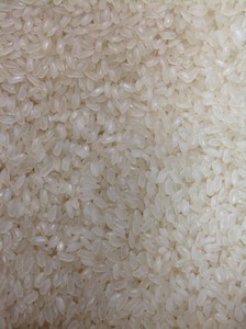 ดี sortex japonica เนื้อสีขาวเนื้อนุ่มสไตล์อียิปต์/เวียดนามลายเมล็ดยาวแห้ง WS + 84 971629648-Ms โลนา - Product Image 4