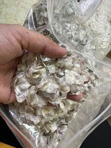 Las mejores escamas de pescado de tilapia 2024 secas al por mayor 100 puras con precio competitivo y calidad de grado en el mercado - Product Image 5