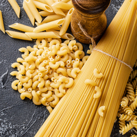 Machine à pâtes automatique 30-60 KG/H Spaghetti, Bucatini, Tagliatelle, Fusilli, Macaroni, Conchiglie faisant la HJ-BK80
