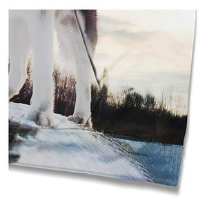 Sweat-shirt à capuche imprimé 3D Husky de Sibérie, motif animalier, pull décontracté, streetwear tendance pour hommes, femmes, adolescents, garçons, filles, confortable - Product Image 4