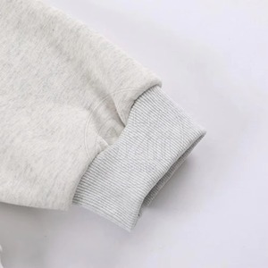 Sweat-shirts à capuche brodés pour hommes, best-sellers, hiver, écologiques, coupe-vent, coton uni, streetwear personnalisé, nouvelle arrivée - Product Image 2