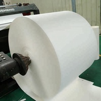 Direkt vom Hersteller Polybeschichtete Kraftpapierrolle 180-320gsm für Kaffeebecher Lebensmittelechtes Basispapier SGS-Zertifiziert