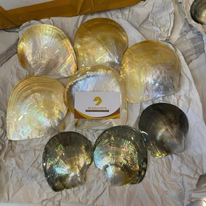 Pearl Of Mother Shell Premium Vietnam Material For Craft Supplies Jewelry Making Decorative Veneer Plate Black Yellow Shell - Product Image 1