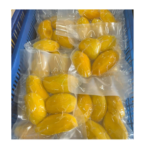 Morceaux de mangue surgelés individuellement pour la vente en gros et la distribution commerciale - Product Image 3