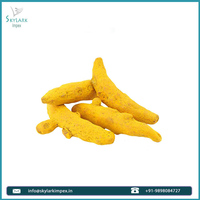 Épices jaunes simples de doigt de curcuma indien pur de haute qualité pour le thé Masala et les produits de santé séchés de source d'agriculture