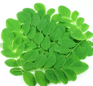 Poudre d'extrait de houblon de qualité supérieure, superaliment pour la santé, extraction par solvant, origine Tamil Nadu, conditionnement en bouteille - Product Image 6