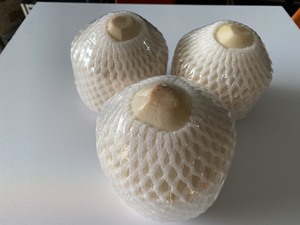 Proveedor de Coco con Corte Diamante a Granel de Vietnam y Precio Competitivo - Product Image 3