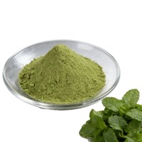 Poudre de menthe 100 % naturelle de qualité export, pure, de qualité cosmétique, pour une sensation rafraîchissante et apaisante sur la peau