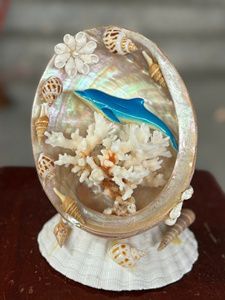 Vietnam Factory Supply Decorative Sea <b>Shell</b> for Aquarium Fish Tank Natural Small <b>Shell</b> Bulk Export Supplier - Product Image 3