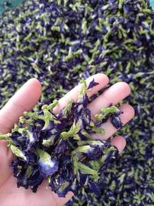 Fleur de pois papillon bleue, tisane séchée 100% naturelle et biologique, origine Vietnam, pour boissons changeantes de couleur - Product Image 5