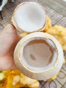 Coco Entero Pulido de Fácil Apertura para Exportación - Diseño Conveniente, Cáscara Limpia - Product Image 3