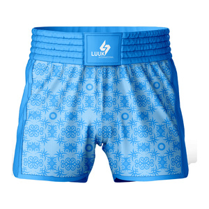 Pantalones Cortos de Muay Thai Personalizados de Primera Calidad, Pantalones Cortos de Kickboxing de Secado Rápido, Ropa Deportiva de Entrenamiento, Fabricante OEM ODM - Product Image 4