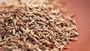 เมล็ดยี่หร่าอินเดียพรีเมียม อบแห้ง ฤดูกาลใหม่ ยี่หร่าเม็ดเต็มจากกูร์กุฎ  อายุการเก็บรักษา 24 เดือน สำหรับขายส่งระหว่างประเทศ - Product Image 2