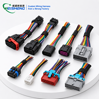 Arnés de Cables Automotrices de Alta Densidad, Conjunto de Cables Multicolor Personalizado para el Sistema Eléctrico del Vehículo
