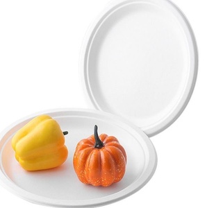Assiettes écologiques en bagasse de canne à sucre, 6 pouces, design rond, vaisselle de fête, assiettes jetables durables pour desserts et fast-food - Product Image 1